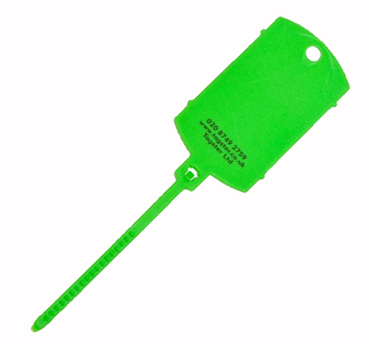 Green Plain Key Tail Tag