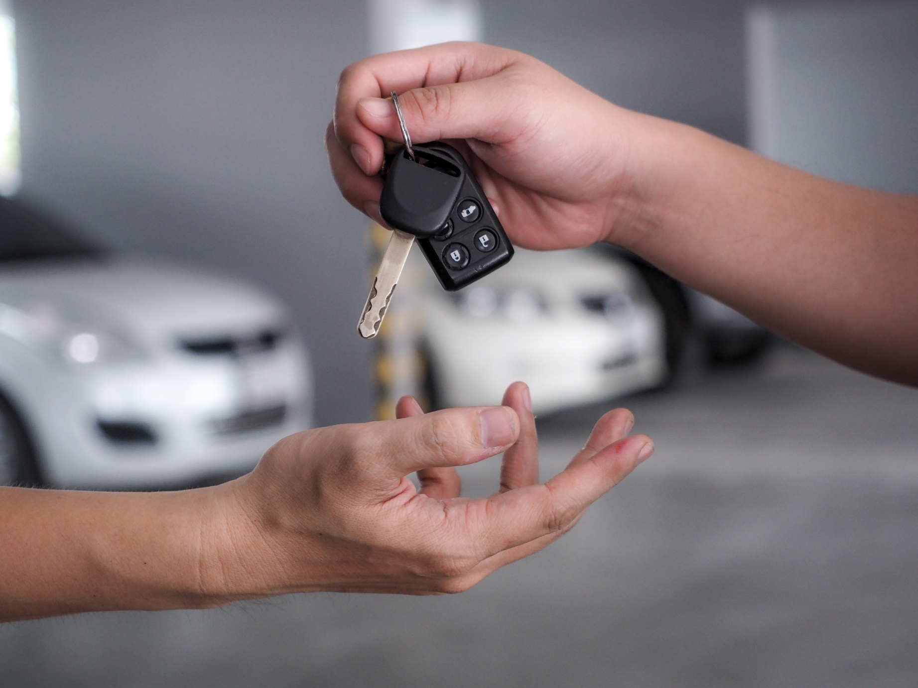 new car buyer