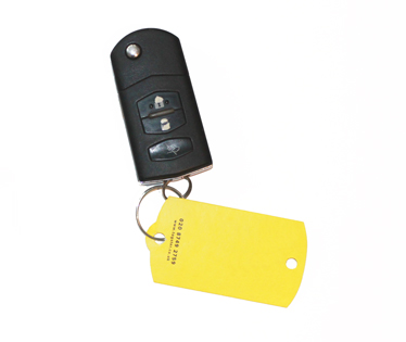 Plain Eco Tags™ - 200 tags with rings